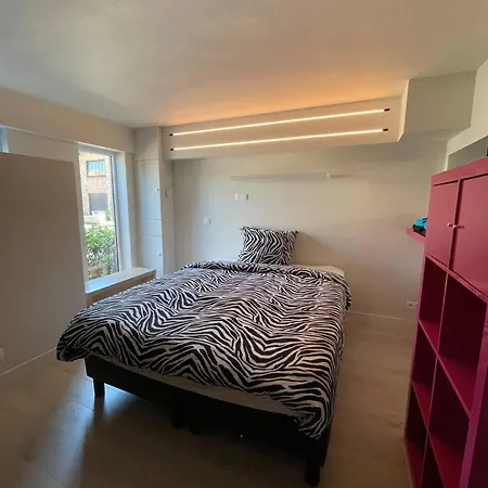 Modern Flat With Garden Ostende