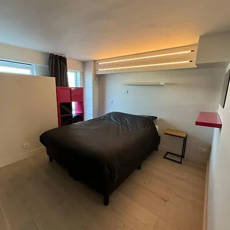 Modern Flat With Garden Ostende